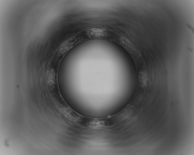 X0000103480760200809191859