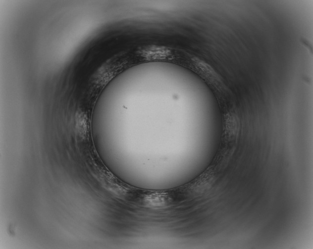 X0000103480761200809191859