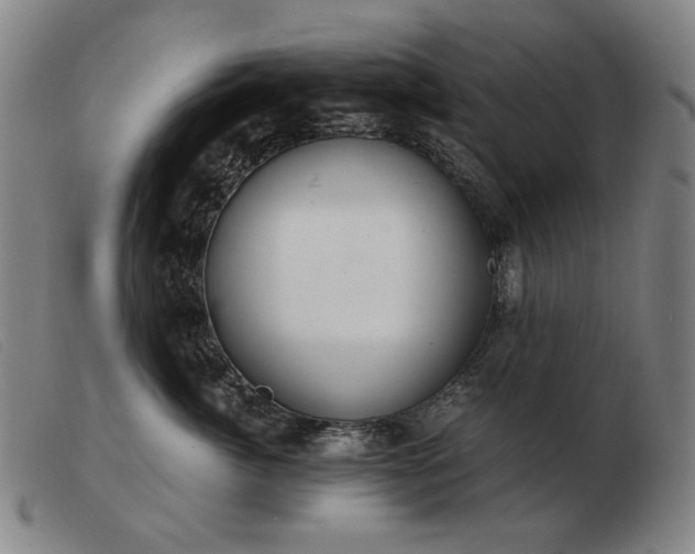 X0000103480764200809191859