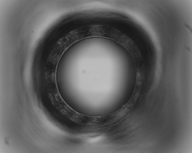 X0000103480765200809191859