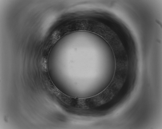 X0000103480766200809191859