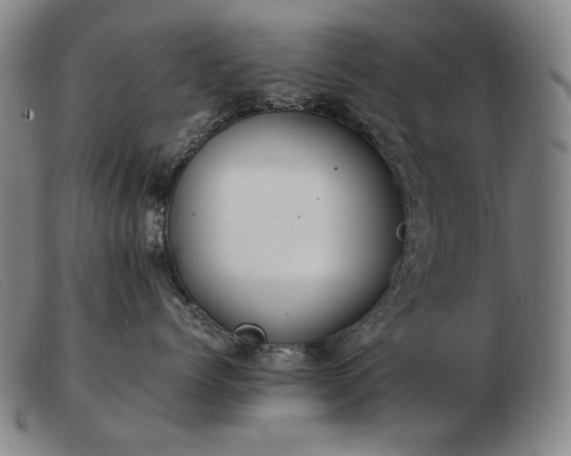 X0000103480768200809191859