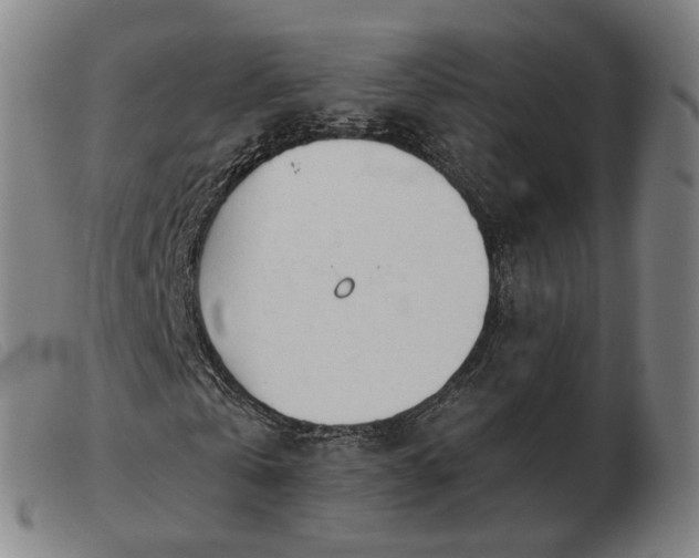 X0000103480769200809191859
