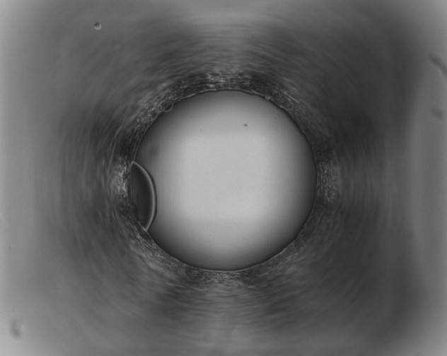 X0000103480770200809191859