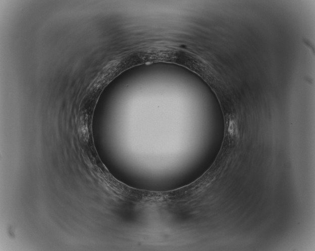 X0000103480771200809191859