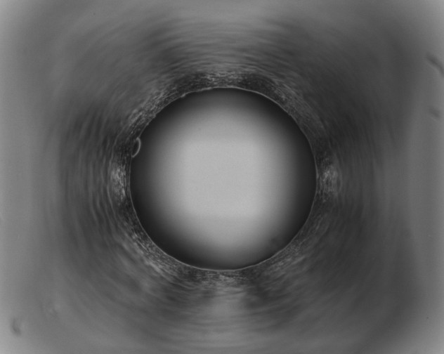 X0000103480772200809191858