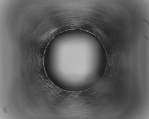 X0000103480773200809191858