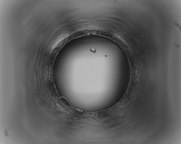 X0000103480775200809191858