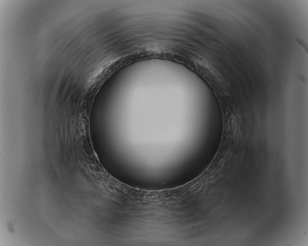 X0000103480776200809191858