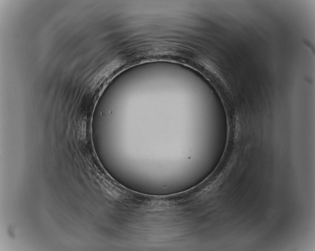 X0000103480777200809191858
