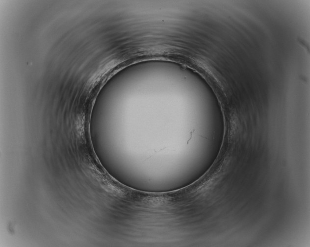 X0000103480778200809191858