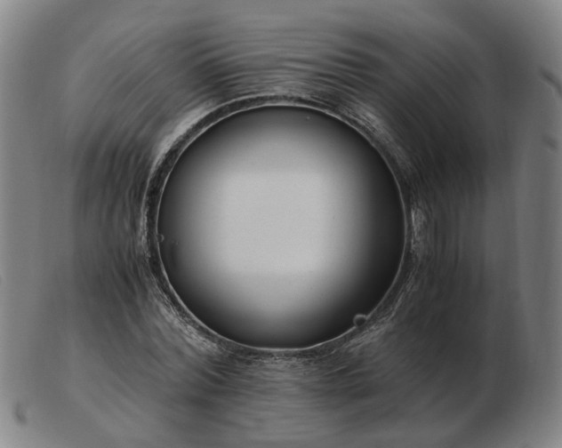 X0000103480780200809191858