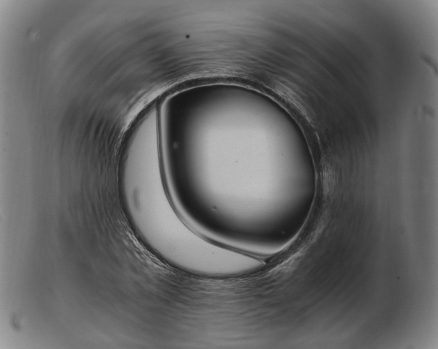 X0000103480781200809191858
