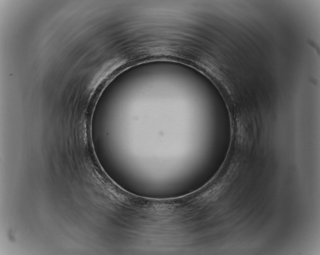 X0000103480782200809191858