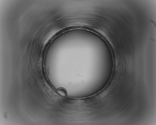 X0000103480783200809191858