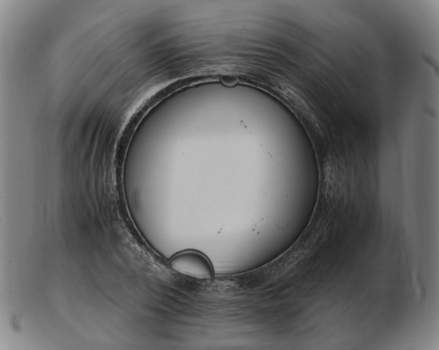 X0000103480784200809191858