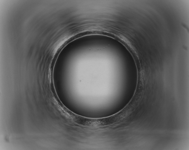 X0000103480791200809191858