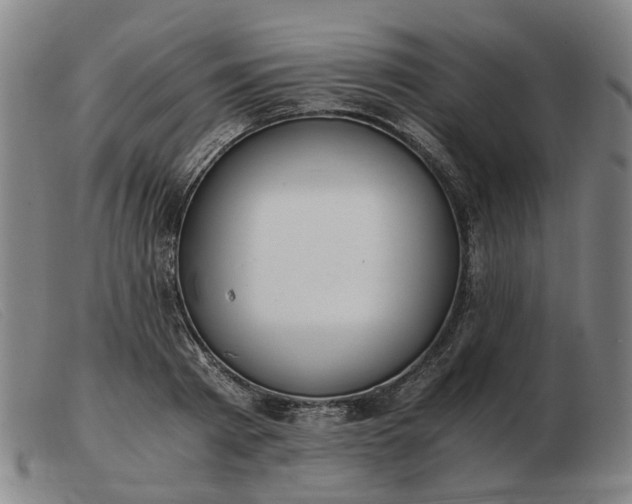 X0000103480793200809191858