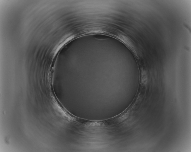 X0000103480806200809191858