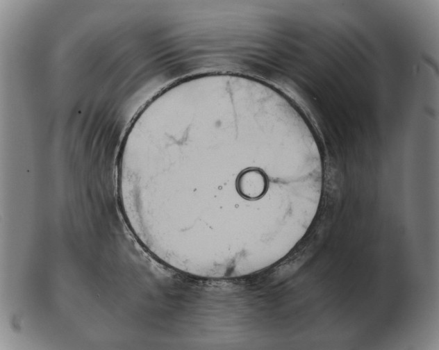 X0000103480807200809191858