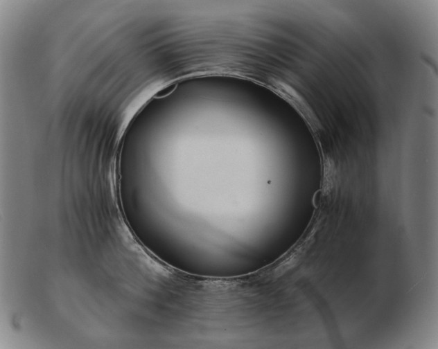 X0000103480812200809191858
