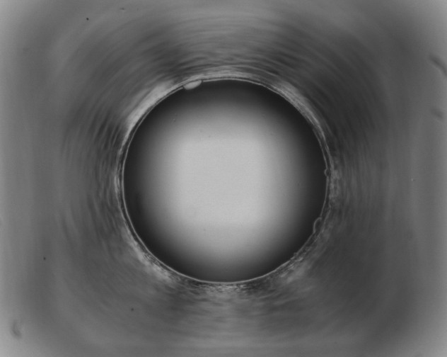 X0000103480813200809191858