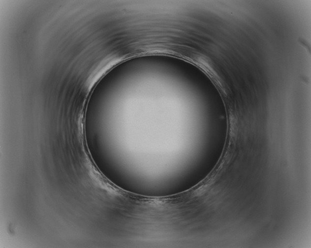 X0000103480814200809191858