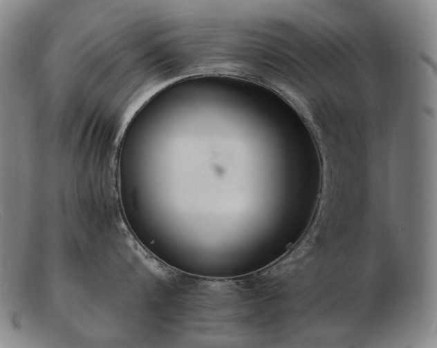 X0000103480816200809191858