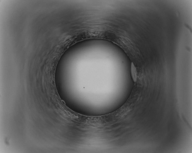 X0000103480817200809191857