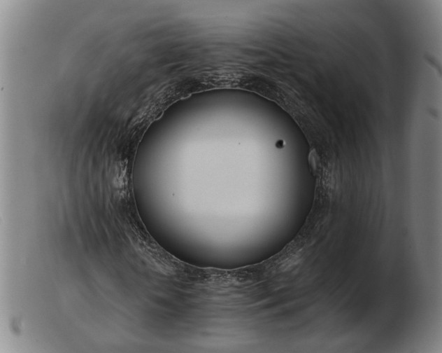 X0000103480818200809191857