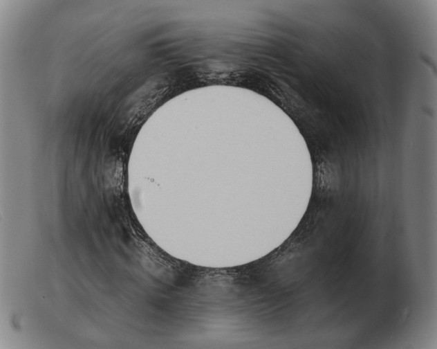 X0000103480820200809191857