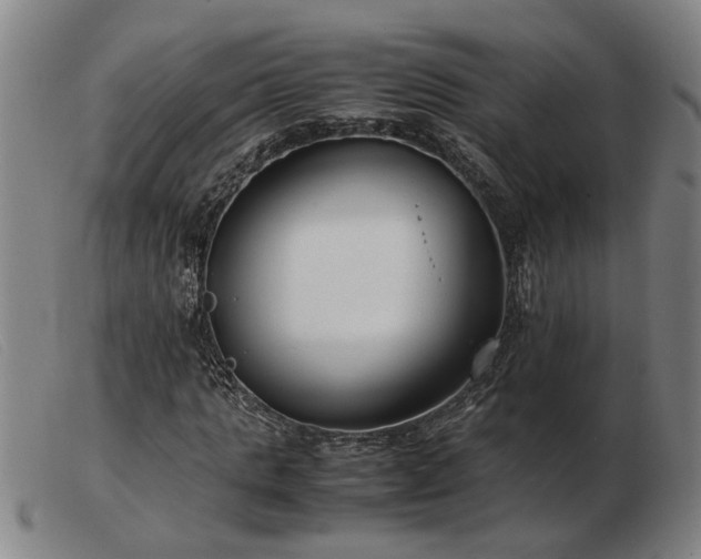 X0000103480821200809191857