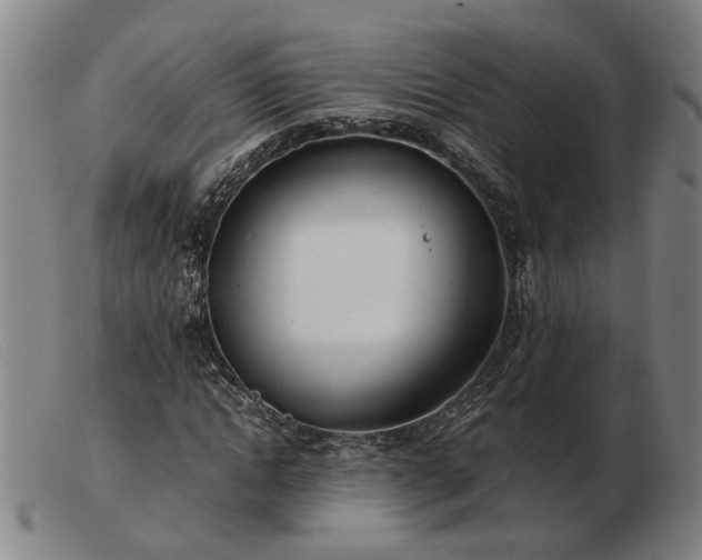 X0000103480822200809191857