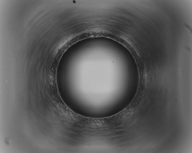 X0000103480823200809191857