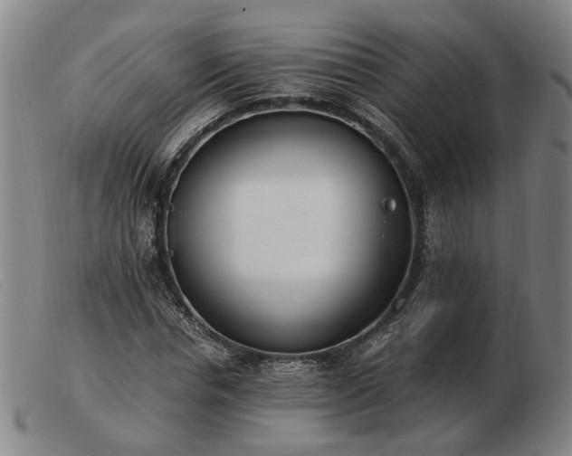 X0000103480826200809191857