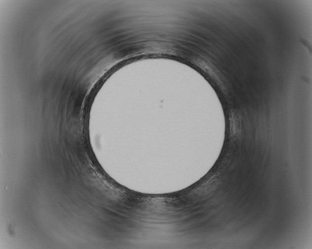 X0000103480828200809191857