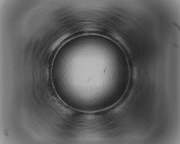 X0000103480829200809191857