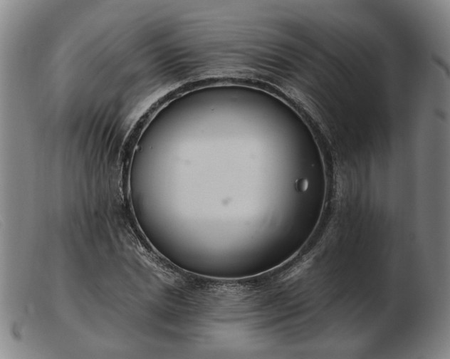 X0000103480830200809191857