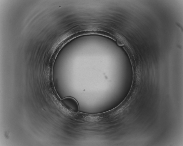 X0000103480831200809191857