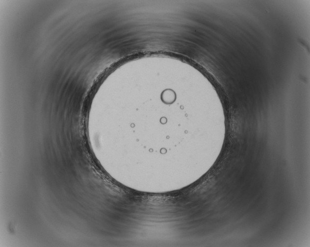 X0000103480832200809191857