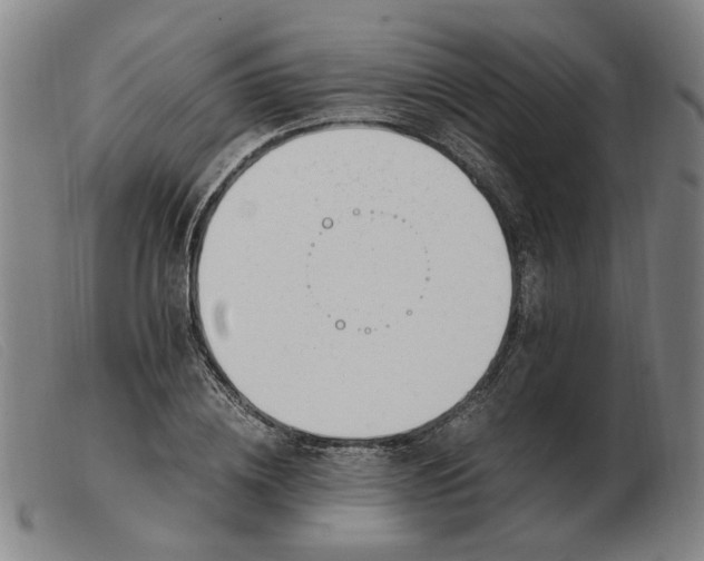X0000103480836200809191857