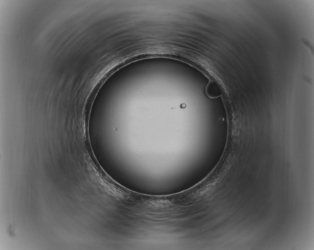 X0000103480837200809191857
