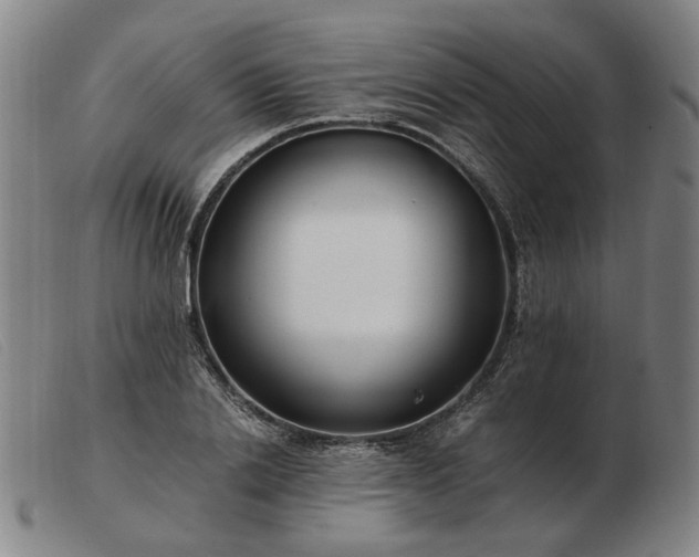 X0000103480838200809191857