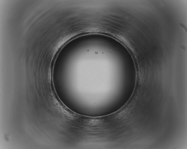 X0000103480839200809191857