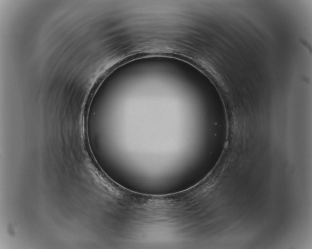 X0000103480840200809191857