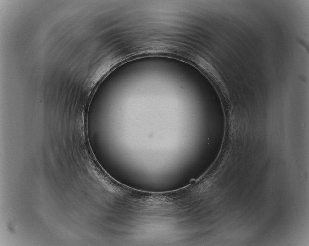 X0000103480842200809191857