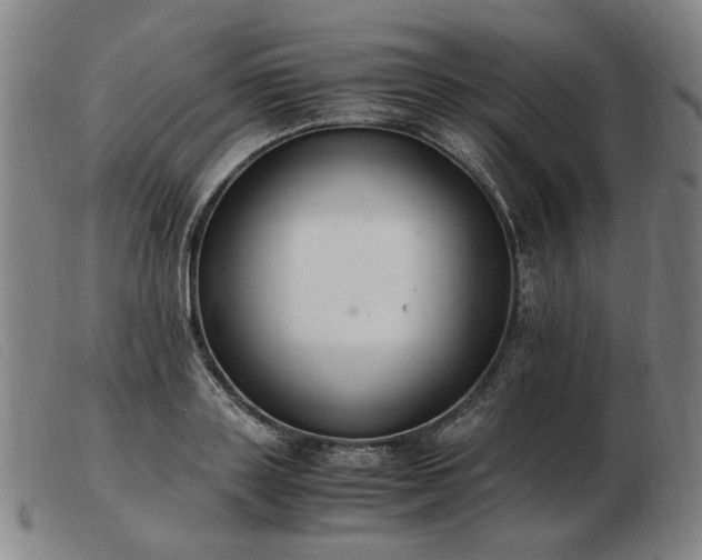 X0000103480843200809191857