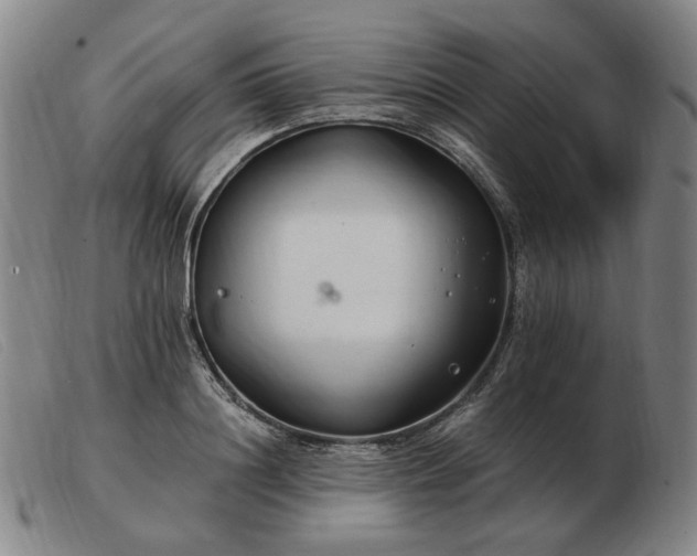 X0000103480844200809191857