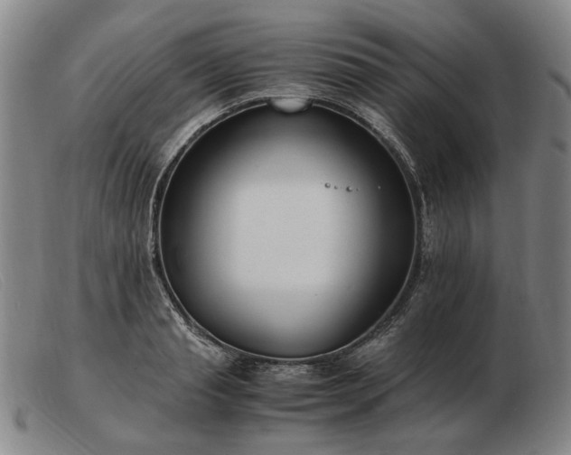 X0000103480845200809191857