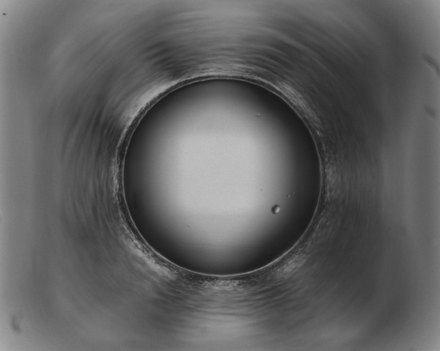 X0000103480846200809191857